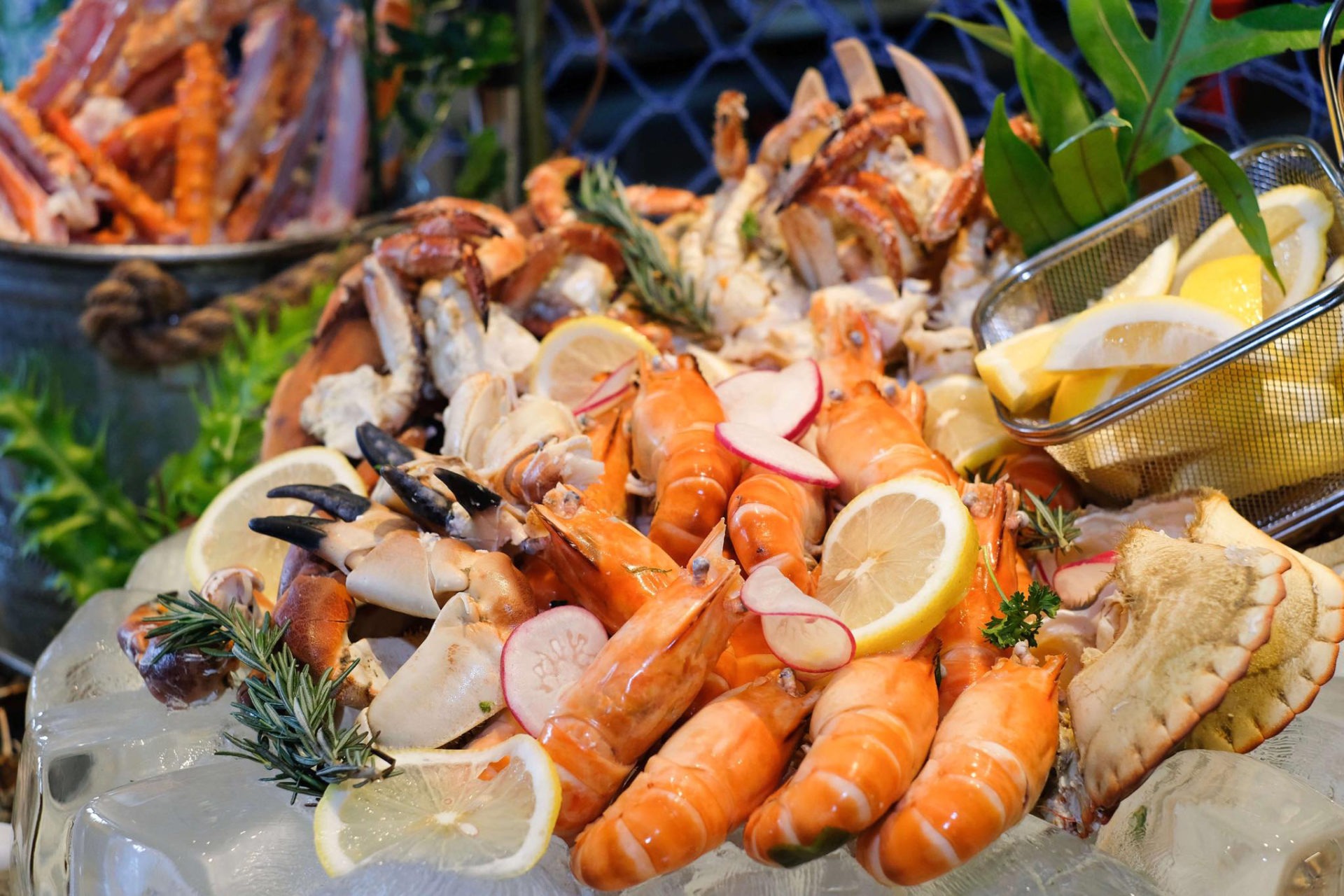 The Best of Seafood and Meat Sunday Brunch at Panorama - The Australian ...