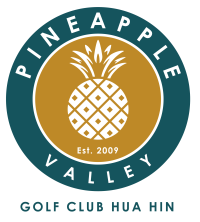 Pineapple Valley logo 01